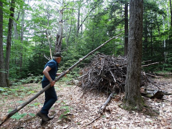 Jean-Claude Piling Sticks in the Woods.png