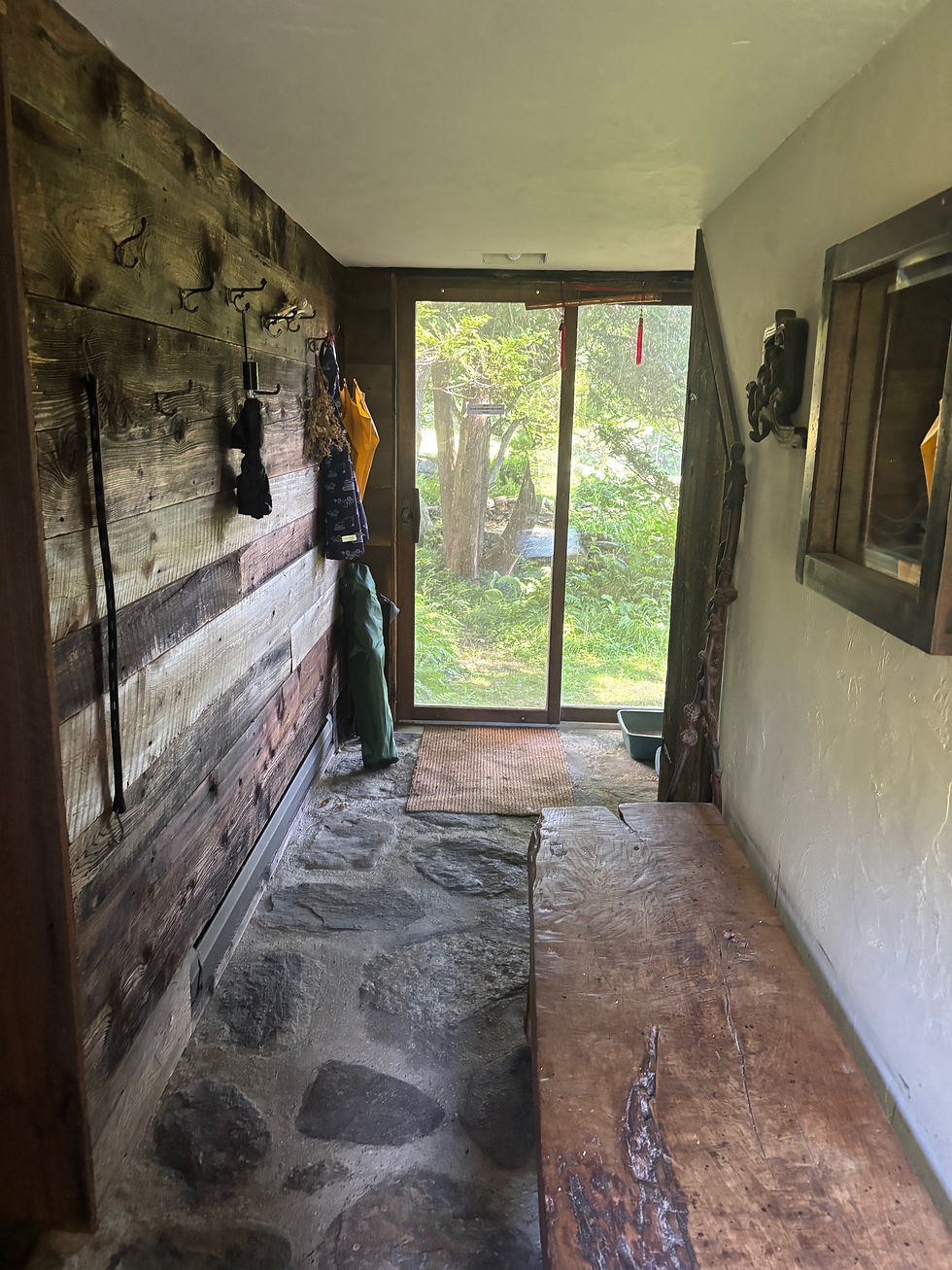 Hallway with Natural Stone and Wood