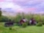 Shantigar with Cabins Pink Sky Edited.jpg