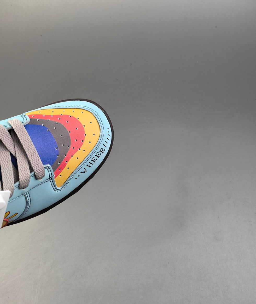 תמונה ממוזערת: Nike Dunk Low Retro SB – דגם רטרו ייחודי
