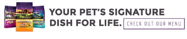 best dog food