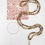 Thumbnail: MELORIA MALA | picture jasper