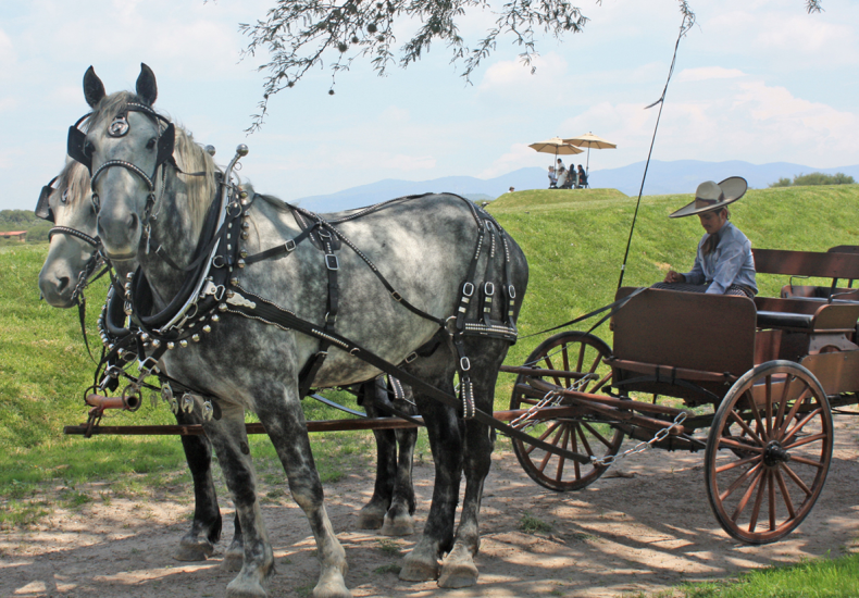 caracol-picnic-carriage.jpg.webp