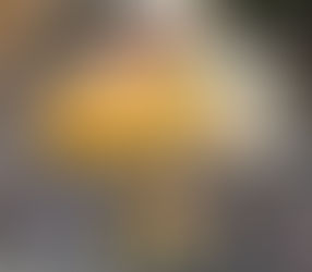 U9 Red sponsors supply xmas cheer