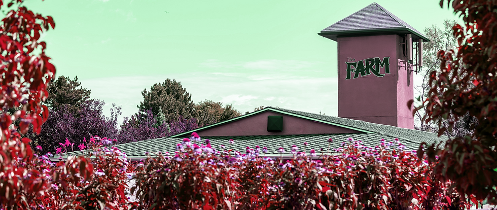 rreal pink.png