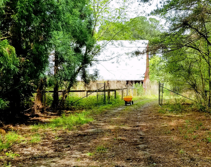 Amy Hall Barn Still Life photograph.jpeg