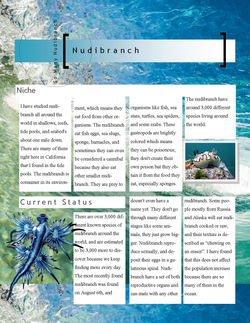 Kendall Nudibranch 1