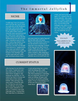 Gracie Immortal Jellyfish 1