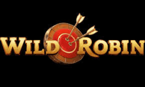 wildrobingokken.com