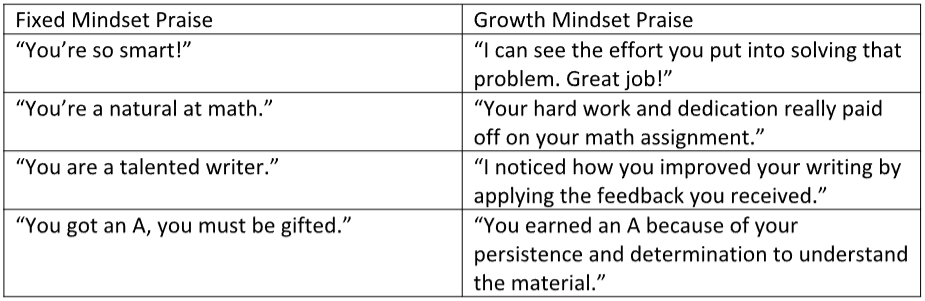 a chart comparing growth mindset praise to fixed mindset praise