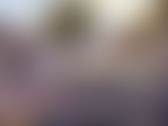 Leiningen vs. the Ants