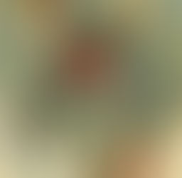 Beware the Jabberwock, My Son!