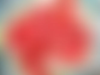 Don’t Swallow the Seeds!