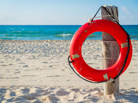 To Believe or Not to Believe