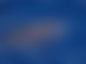 Using New Acoustic Technology to Learn about Beaked Whales