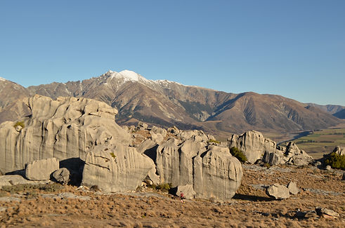 DSC_0225.JPG