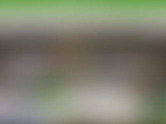 RiVirtual.com Website HOME page