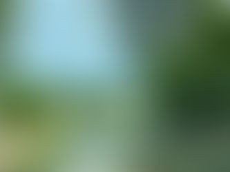 The Most Upscale Place to Stay in Broken Bow