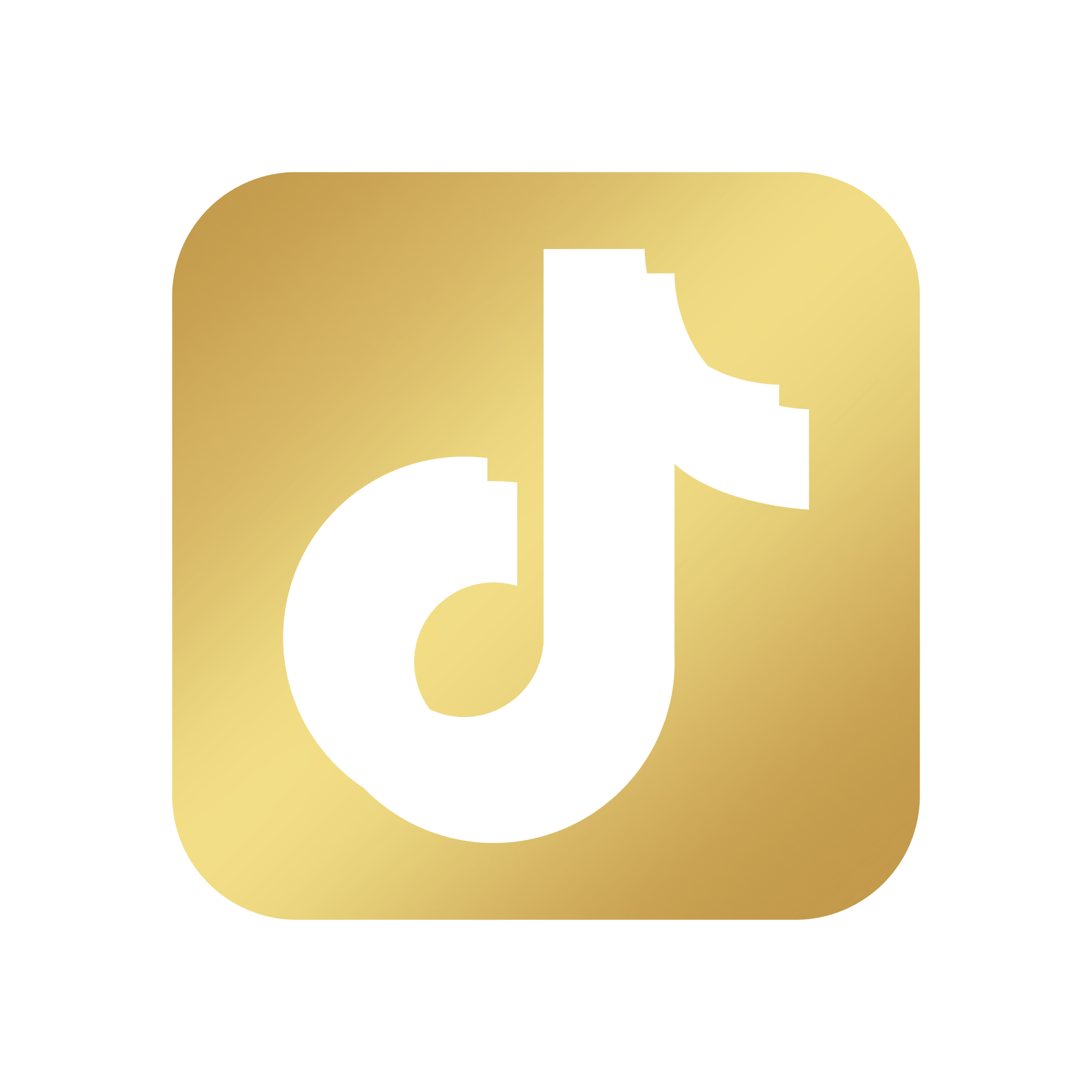 TikTok icon