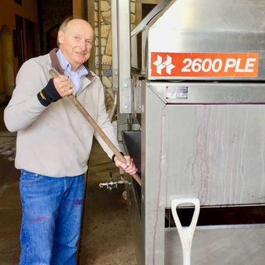 Harvest action w the winemaker
