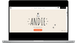 Pet Walker Business Website Design