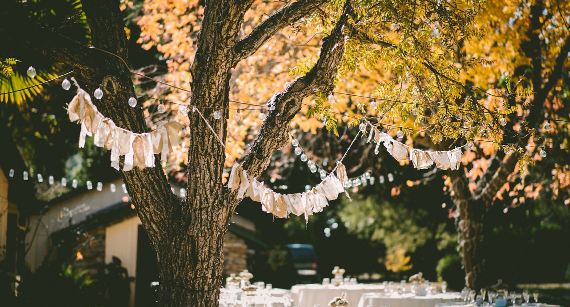 Daytime Celebration
