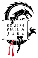LOGO JUDO(1).png