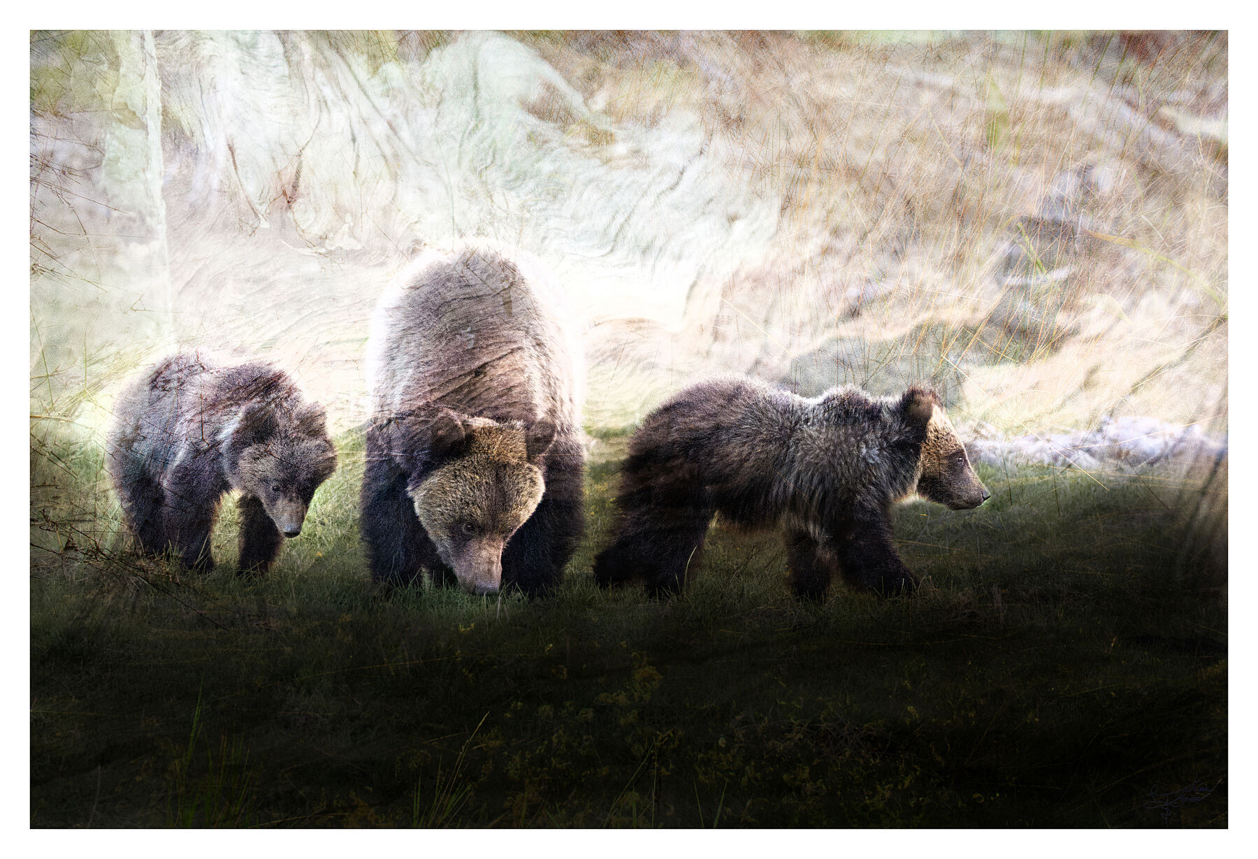 She Who Walks Before