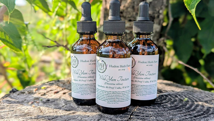 Wild Yam Tincture