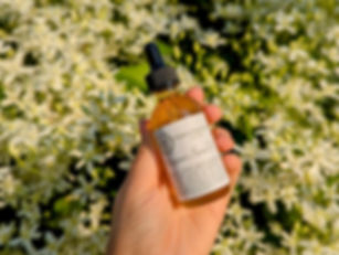 Bergamot Facial Oil