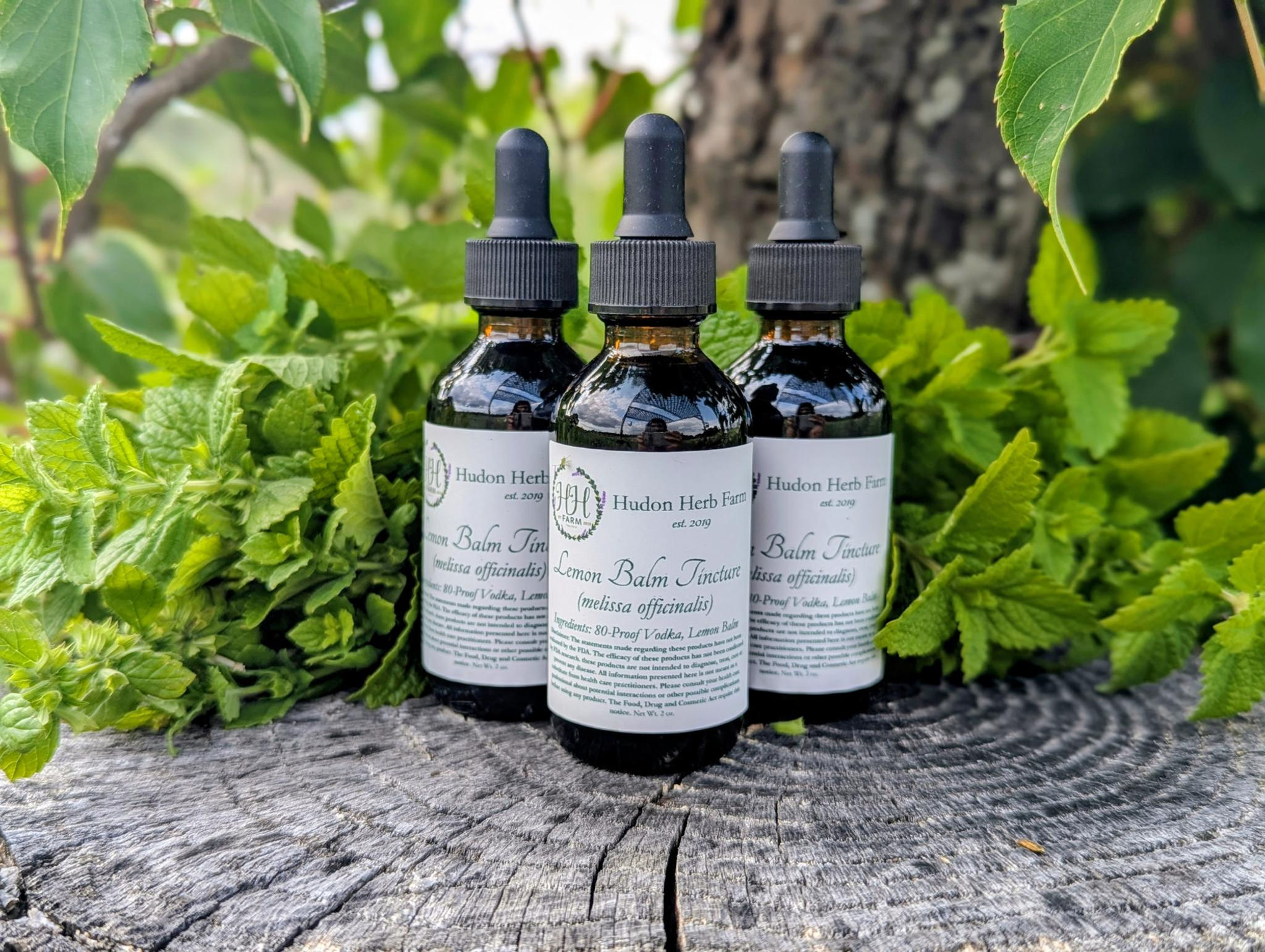 Lemon Balm Tincture