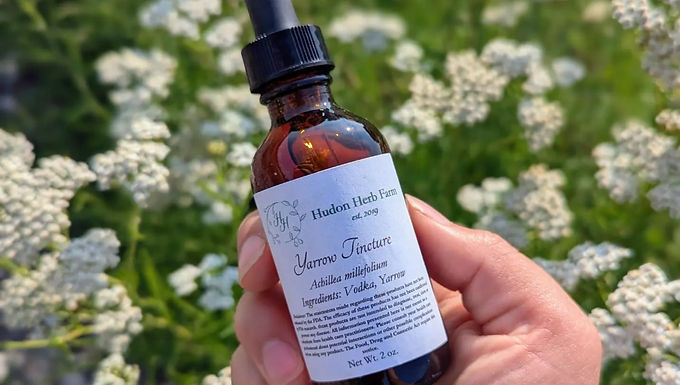 Yarrow Tincture