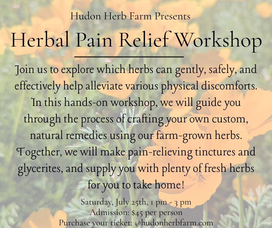 Herbal Pain Relief Workshop