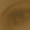 olop_header_home5_2100x800.jpg
