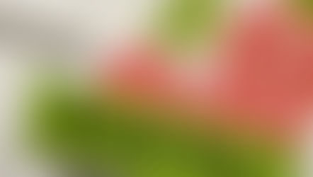 Clean + Simple Sunday: Abstract Impressions