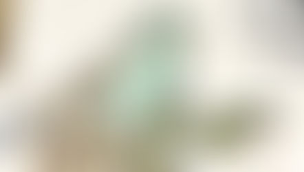 Technique: Watercolor with Wink of Stella brush pen