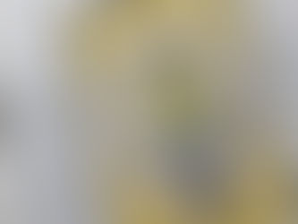 Inspired by Color - Daffodil Delight, Pool Party, Gray Granite