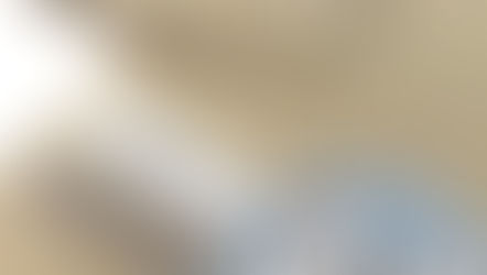 Clean + Simple Sunday: Butterfly Gala