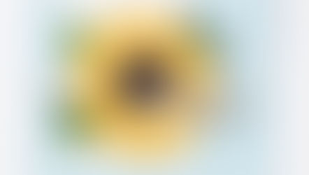 Creative Inspiration: Stampin' Up! Celebrate Sunflowers Bundle