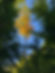 IMG_0042.jpeg