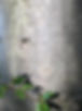 IMG_0035.jpeg