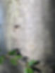 IMG_0035.jpeg