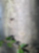 IMG_0035.jpeg