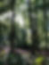 IMG_0023.jpeg