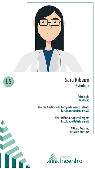 Story---Sarah-Ribeiro---Resumo-site.png