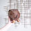 Thumbnail: Wicker Pig