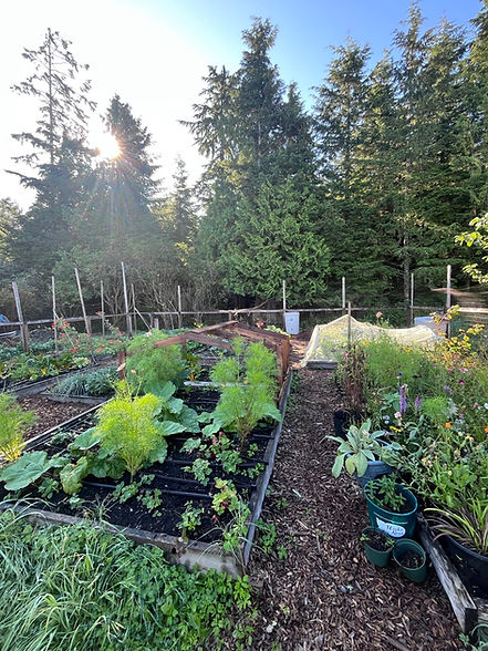gardenbedB.jpeg