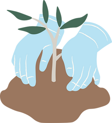 blue-gloved hands planting a starter plant in brown soil icon
