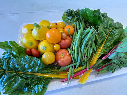coloufulproduce.jpeg