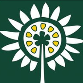 Logo of white sunflower outline with yellow seeding in the middle on a forest green background